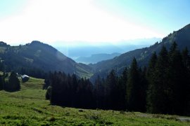 P1050552